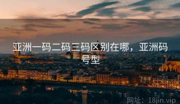 亚洲一码二码三码区别在哪，亚洲码号型