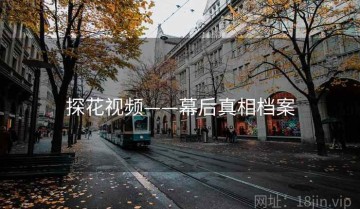 探花视频——幕后真相档案