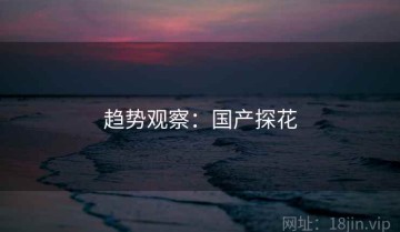 趋势观察：国产探花