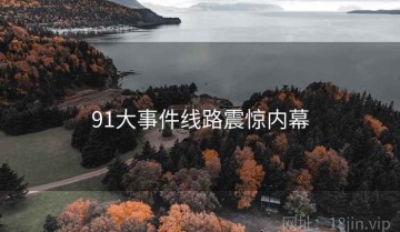 91大事件线路震惊内幕