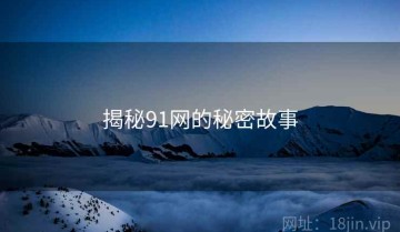 揭秘91网的秘密故事