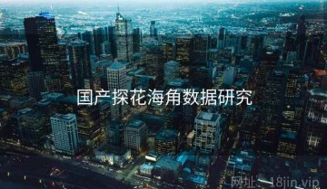 国产探花海角数据研究