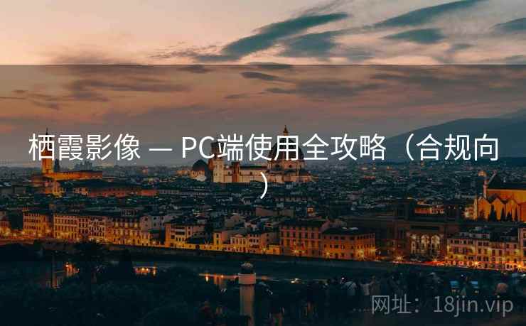 栖霞影像 — PC端使用全攻略(合规向) 栖霞影像 — PC端使用全攻略(合规向)