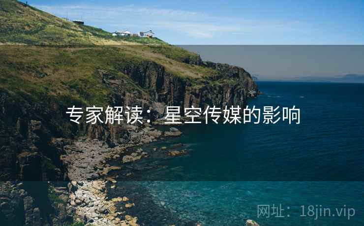 专家解读:星空传媒的影响 专家解读:星空传媒的影响